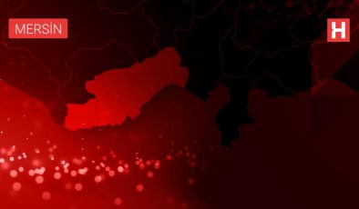 AK Parti’li Taşkın: "Mersin’deki hastanelerde yatak sayımız 3 bin 98’e ulaştı"