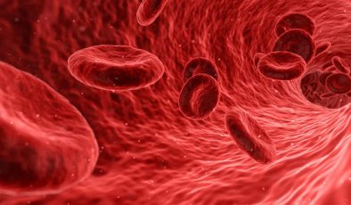 Kan üzerinde araştırma yapan bilim insanları, yaşlanmayı tersine çevirdi: İnsanlık bunu duymalı