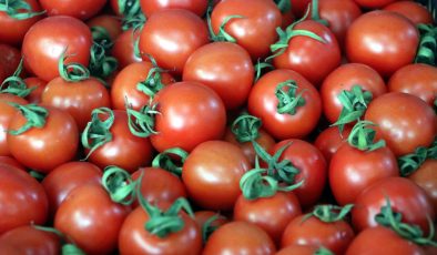 Türkiye’nin 11 aylık yaş meyve sebze ihracatının yaklaşık 5’te 1’ini üzüm ve domates oluşturdu