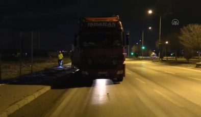 AFYONKARAHİSAR – Yola saçılan mandalinalar trafiği aksattı