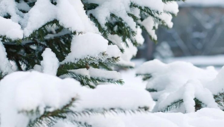 İzmir’de okullar tatil mi? Bugün İzmir’de kar tatili ilan edildi mi? Hangi illerde kar tatili var, il il liste!