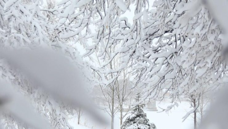 Muş’ta okullar tatil mi? Bugün Muş’ta kar tatili ilan edildi mi? Hangi illerde kar tatili var, il il ilçe ilçe liste!