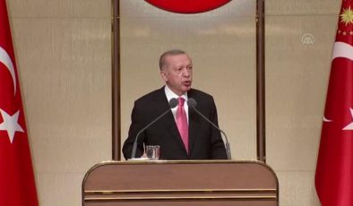 Son dakika haberi | Cumhurbaşkanı Erdoğan: "Bir daha dengesiz döviz talebinden kaynaklanan dalgalanmanın yaşanmayacağını düşünüyoruz"