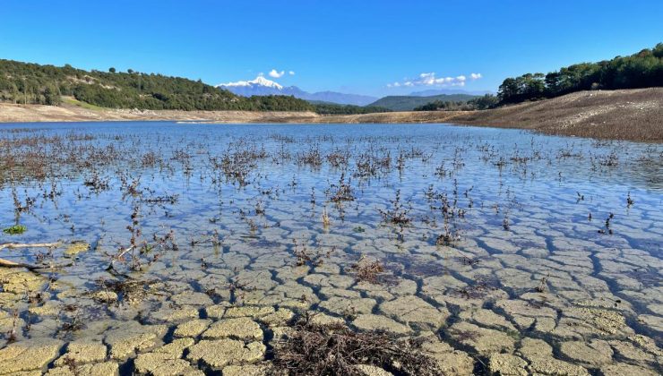 Yağışlar Çukurova’daki barajlara "can suyu" oldu