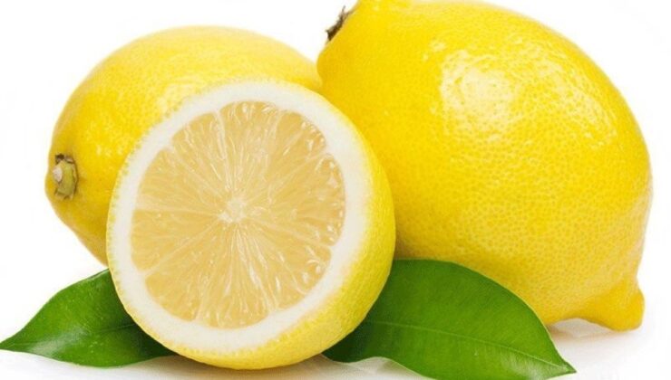 Kızıltan “Limon Destek Bekliyor”